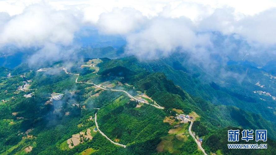 湖北巴东县绿葱坡海拔多少?恩施绿葱坡海拔多少钱-图3 湖北巴东县绿葱坡海拔多少?恩施绿葱坡海拔多少钱-图3