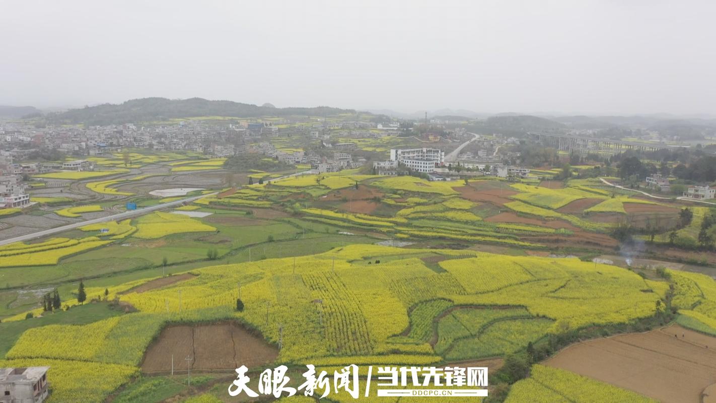 织金县金碧镇有多少人口?黔西雨朵镇有多少人口-图1 织金县金碧镇有多少人口?黔西雨朵镇有多少人口-图1