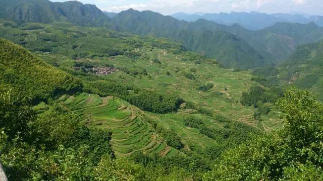 安徽有多少个山?遂昌妙高镇海拔是多少-图2 安徽有多少个山?遂昌妙高镇海拔是多少-图2