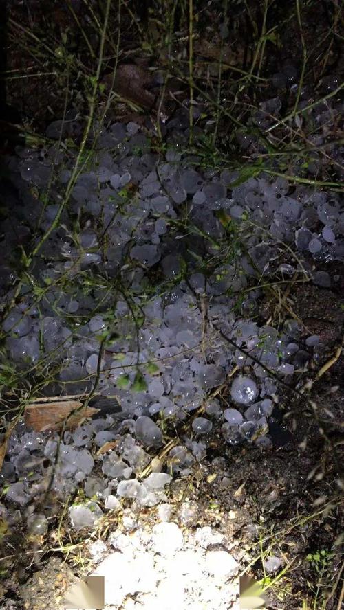 全国哪里在下冰雹?东兰最高温天气多少度-图3 全国哪里在下冰雹?东兰最高温天气多少度-图3