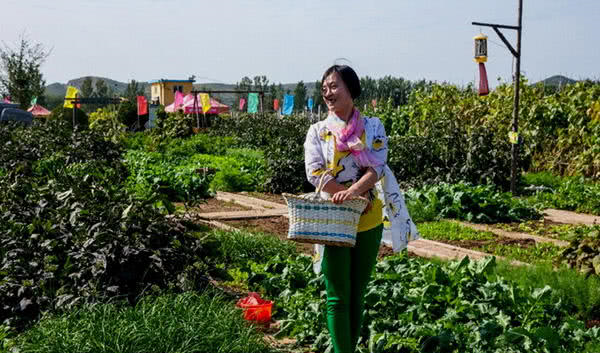 河北农村几月份种菜邯郸现在地温多少-图3 河北农村几月份种菜邯郸现在地温多少-图3