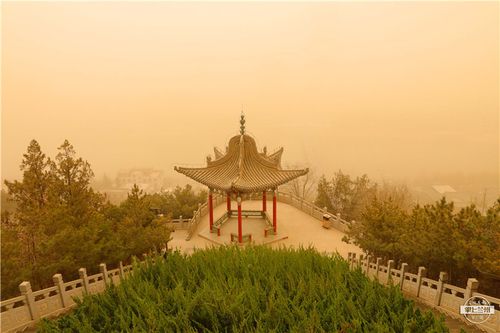 甘肃鼎新气候特点?鼎新二月气温一般多少-图3 甘肃鼎新气候特点?鼎新二月气温一般多少-图3