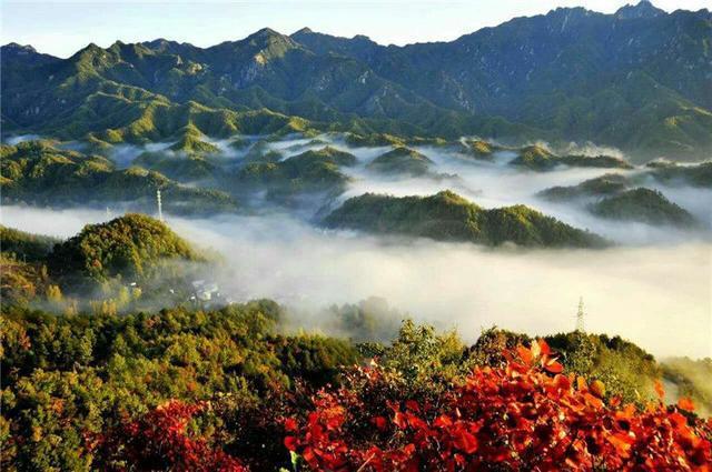 河南高度排名前十的山?西峡桑坪海拔高度多少-图2 河南高度排名前十的山?西峡桑坪海拔高度多少-图2