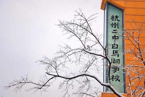 杭州白马湖中学好进吗?2015年杭州九月多少度-图1 杭州白马湖中学好进吗?2015年杭州九月多少度-图1
