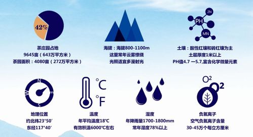 空气湿度多少容易有露水?相对湿度多少有雾-图3 空气湿度多少容易有露水?相对湿度多少有雾-图3