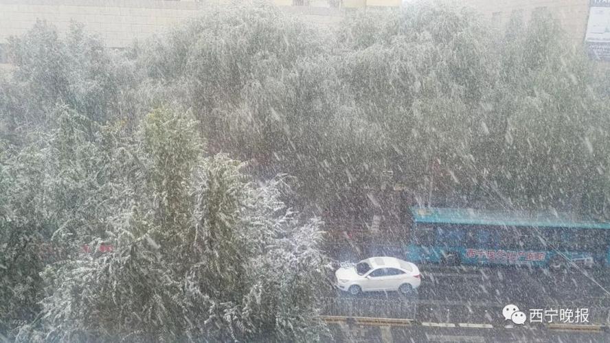 冬雨的特点?1厘米雪相当于多少雨-图1 冬雨的特点?1厘米雪相当于多少雨-图1