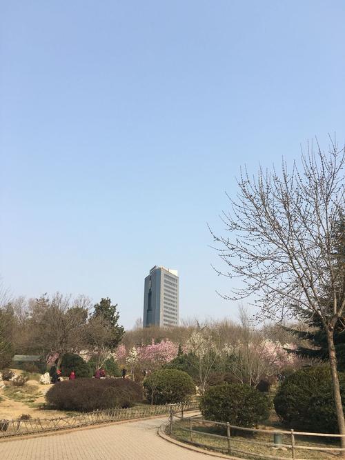 上午张店区上空响声是什么原因?淄博空气湿度多少-图2 上午张店区上空响声是什么原因?淄博空气湿度多少-图2
