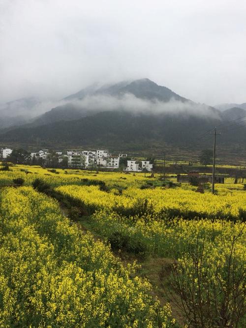 江西婺源几月份去最好?婺源三月份气温多少度-图1 江西婺源几月份去最好?婺源三月份气温多少度-图1