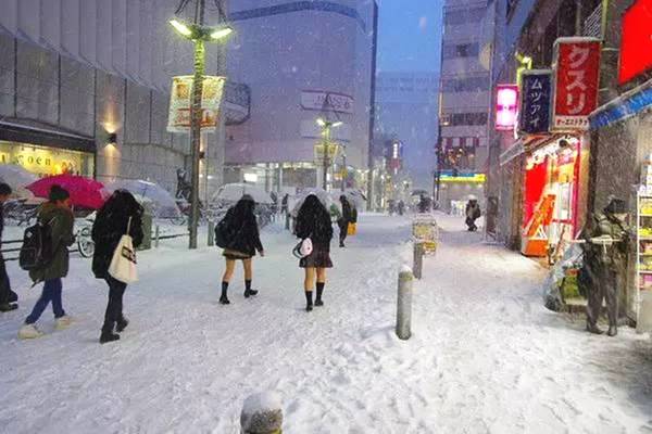 日本冬天温度大概多少度?3月初东京温度多少-图1 日本冬天温度大概多少度?3月初东京温度多少-图1