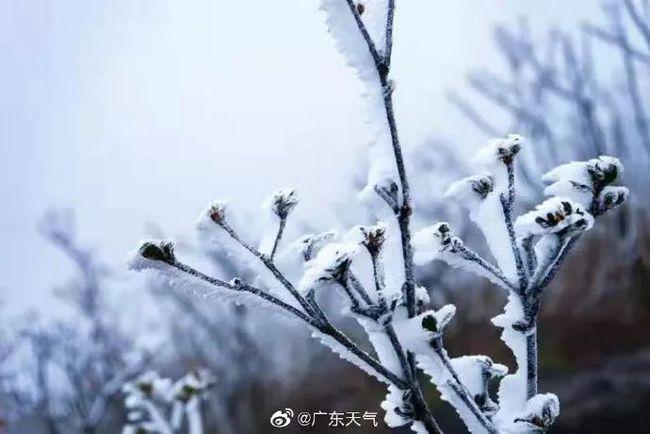 佛山冬天最冷多少度？佛山的冬天平均多少度-图2
