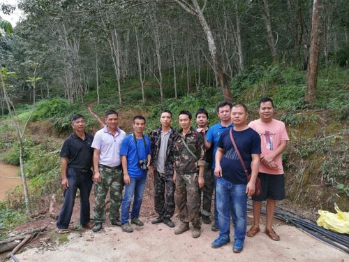 西双版纳勐腊县勐捧镇气温适宜养鳝鱼吗?勐腊到勐棒多少钱-图3 西双版纳勐腊县勐捧镇气温适宜养鳝鱼吗?勐腊到勐棒多少钱-图3
