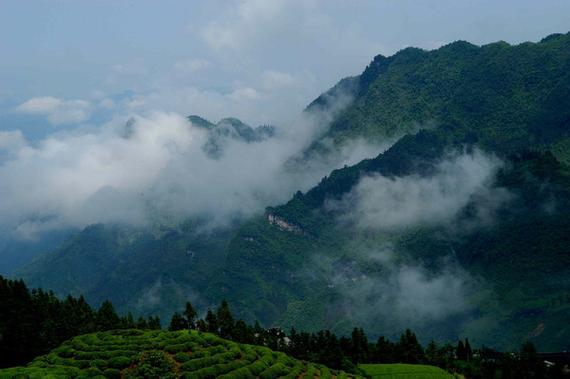 湖南各市最高山峰?壶平山天气多少度-图3 湖南各市最高山峰?壶平山天气多少度-图3