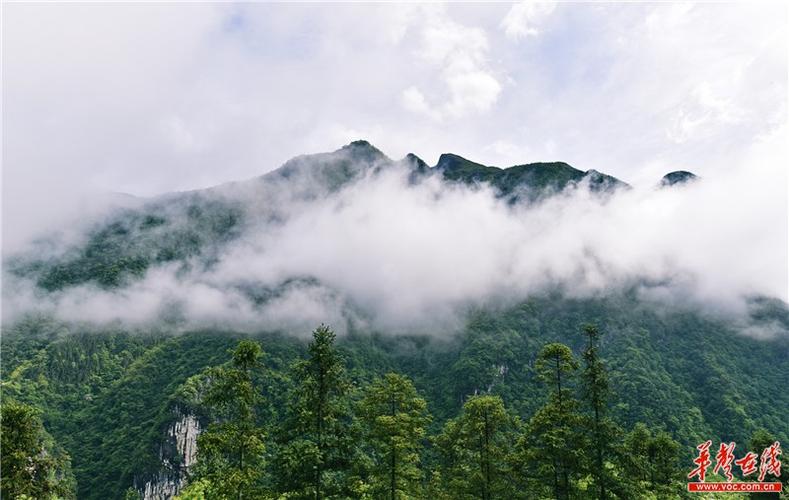 湖南各市最高山峰?壶平山天气多少度-图2 湖南各市最高山峰?壶平山天气多少度-图2
