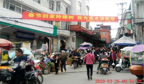 福建漳州市有哪些街道?福建安厚镇多少人口-图2 福建漳州市有哪些街道?福建安厚镇多少人口-图2