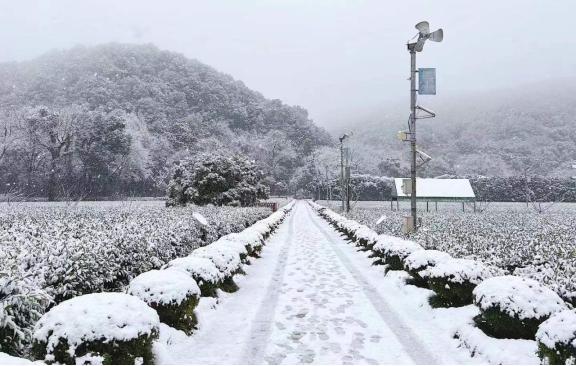 湖州有中到大雪吗?湖州冬天最低是多少度-图2 湖州有中到大雪吗?湖州冬天最低是多少度-图2