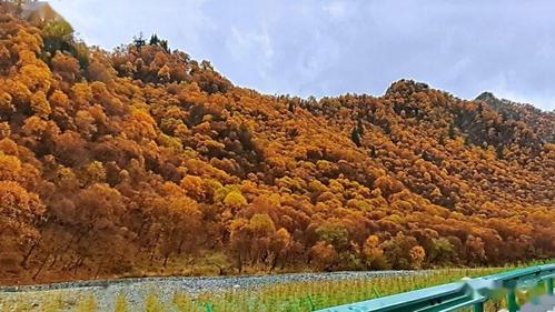 青海秋景哪里最美?泽库县麦秀镇有多少人-图1 青海秋景哪里最美?泽库县麦秀镇有多少人-图1
