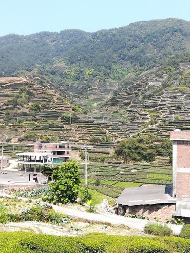 求问安溪西坪哪里最好玩?西坪到泉州多少公里-图1 求问安溪西坪哪里最好玩?西坪到泉州多少公里-图1