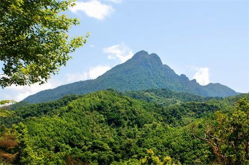 五指山气候优缺点?海南省五指山的湿度多少-图3 五指山气候优缺点?海南省五指山的湿度多少-图3