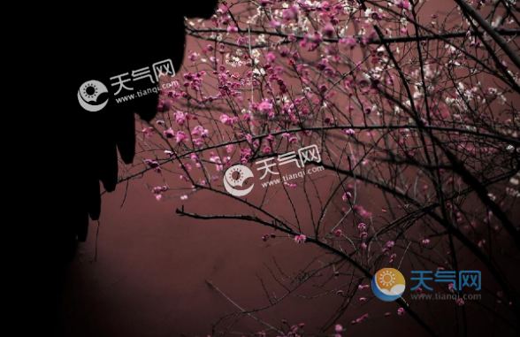 北京今年立春后还会冷多久?北京立春天气多少度-图3 北京今年立春后还会冷多久?北京立春天气多少度-图3