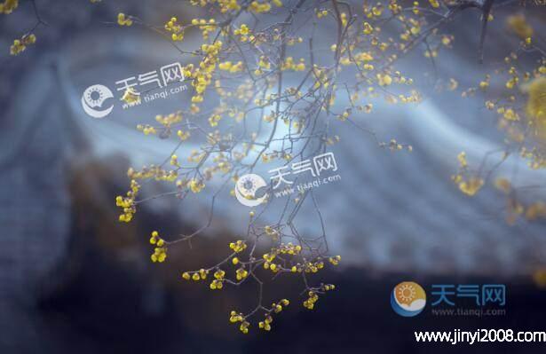 北京今年立春后还会冷多久?北京立春天气多少度-图1 北京今年立春后还会冷多久?北京立春天气多少度-图1