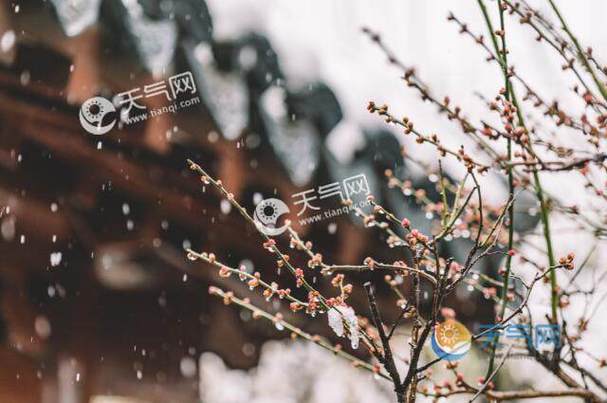 北京今年立春后还会冷多久?北京立春天气多少度-图2 北京今年立春后还会冷多久?北京立春天气多少度-图2