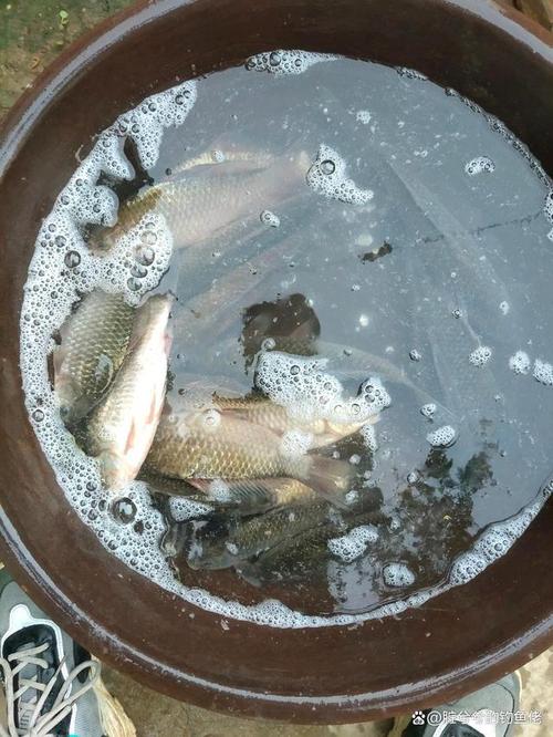降温6度能钓到鱼吗?衡阳地区今天气压多少-图1 降温6度能钓到鱼吗?衡阳地区今天气压多少-图1