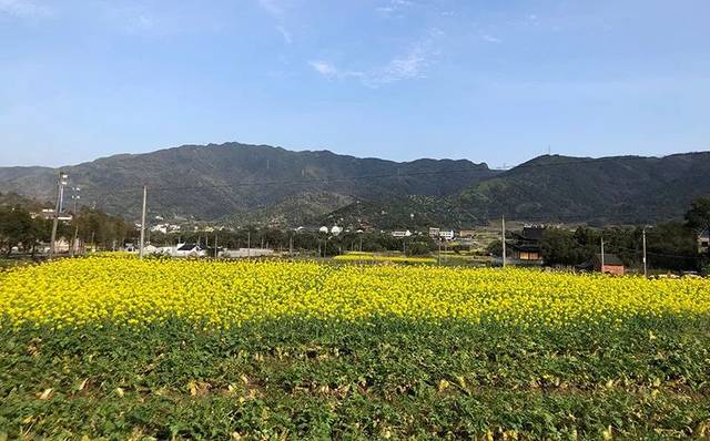 金华
曹村属于哪里?浙江曹村多少个村-图1 金华
曹村属于哪里?浙江曹村多少个村-图1