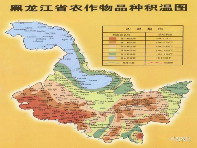 13a04水稻种子介绍?扎赉特旗积温是多少-图2 13a04水稻种子介绍?扎赉特旗积温是多少-图2