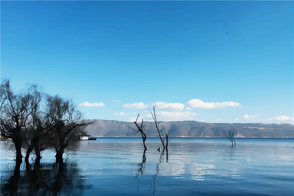 云南洱海夏天热吗?洱海2月10日温度是多少-图2 云南洱海夏天热吗?洱海2月10日温度是多少-图2