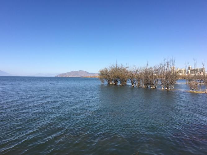 洱海冬天气温是多少?洱海2月10日温度是多少钱-图1 洱海冬天气温是多少?洱海2月10日温度是多少钱-图1