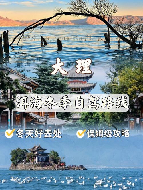 大理冬天的气温大概多少度?大理冬季气温多少度-图3 大理冬天的气温大概多少度?大理冬季气温多少度-图3