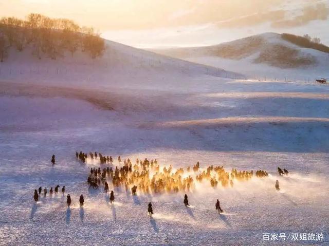 乌兰布统马怎样过冬?乌兰布统冬天多少度-图3 乌兰布统马怎样过冬?乌兰布统冬天多少度-图3