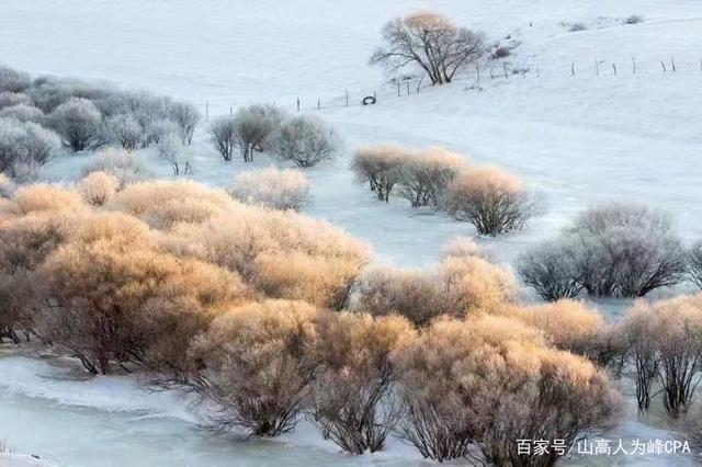 乌兰布统马怎样过冬?乌兰布统冬天多少度-图1 乌兰布统马怎样过冬?乌兰布统冬天多少度-图1