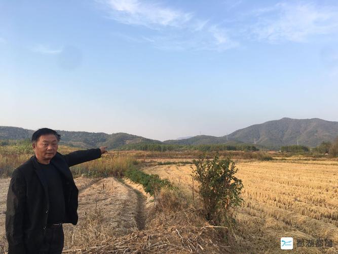 石岳宗谱中的石明显字帷德是什么官?都昌蔡岭买房多少钱-图1 石岳宗谱中的石明显字帷德是什么官?都昌蔡岭买房多少钱-图1