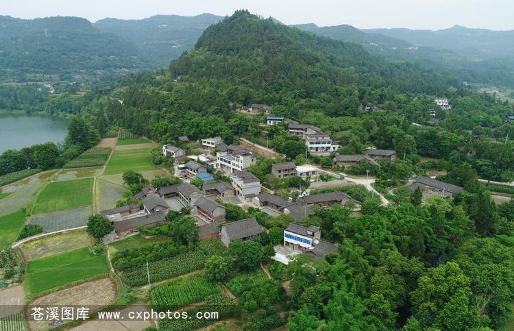 广元市苍溪县的云峰镇有那些村?广元离白山乡多少公里-图3 广元市苍溪县的云峰镇有那些村?广元离白山乡多少公里-图3