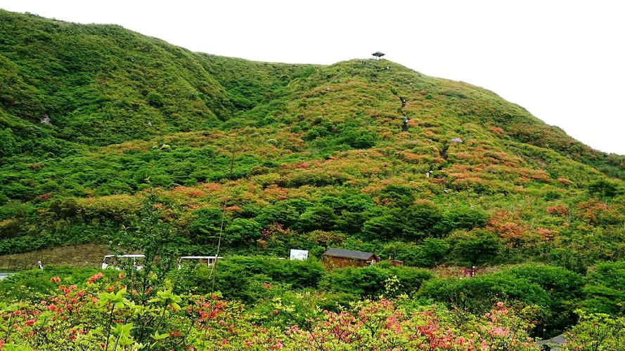 大围山杜鹃花什么时候开?文昌七星岭门票多少-图2 大围山杜鹃花什么时候开?文昌七星岭门票多少-图2