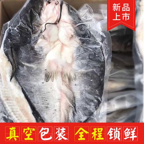 冰冻花鲢4个月能吃吗?花莲需要多少天-图1 冰冻花鲢4个月能吃吗?花莲需要多少天-图1