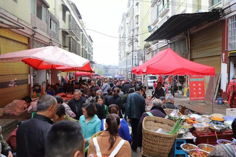 遵义赶集时间?道真棕坪有多少人口-图1 遵义赶集时间?道真棕坪有多少人口-图1