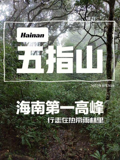 五指山气候潮湿吗?五指山常年气温是多少-图3 五指山气候潮湿吗?五指山常年气温是多少-图3