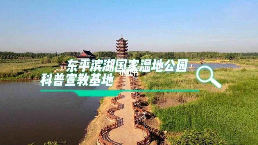 东平湖风景区门票免费政策?东平湿地公园多少钱-图1 东平湖风景区门票免费政策?东平湿地公园多少钱-图1