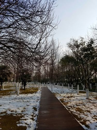 漯河市的气候特点?河南漯河冬季最低气温是多少-图2 漯河市的气候特点?河南漯河冬季最低气温是多少-图2