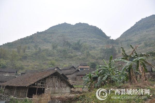田阳区坡洪镇驮农屯有周姓吗?百色到坡洪多少钱车票-图3 田阳区坡洪镇驮农屯有周姓吗?百色到坡洪多少钱车票-图3