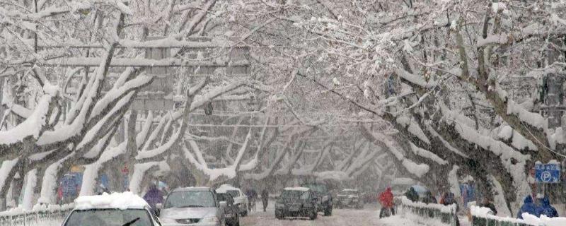 2008年大雪有多严重?08年广西下雪多少度-图1 2008年大雪有多严重?08年广西下雪多少度-图1