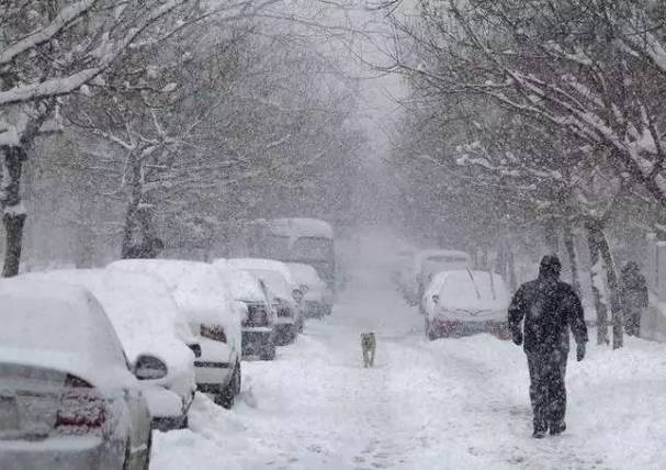 2008年大雪有多严重?08年广西下雪多少度-图3 2008年大雪有多严重?08年广西下雪多少度-图3