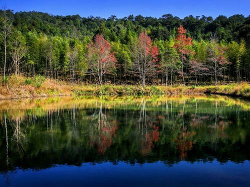 九阜山生态旅游景区主要景点?三明尤溪汤川多少度-图1 九阜山生态旅游景区主要景点?三明尤溪汤川多少度-图1