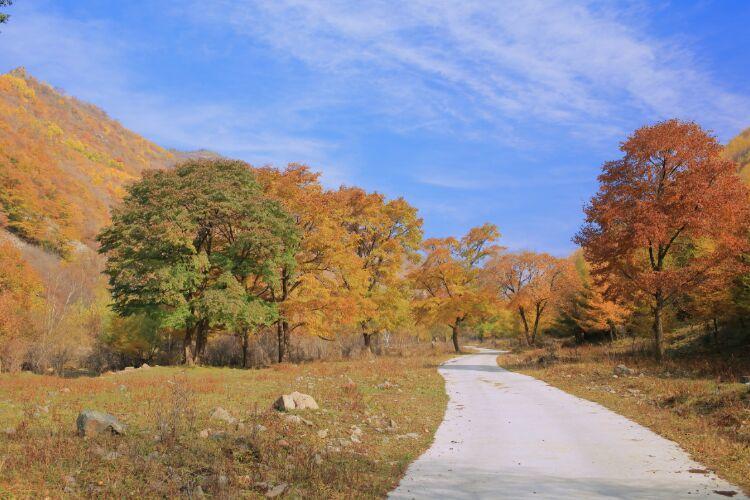 三道川有什么旅游景点?赤城到三道川多少公里-图3 三道川有什么旅游景点?赤城到三道川多少公里-图3