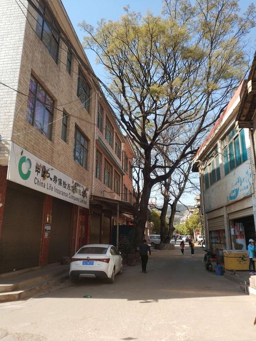 昆明七甸街什么时间赶街?七甸街天是多少时间-图2 昆明七甸街什么时间赶街?七甸街天是多少时间-图2