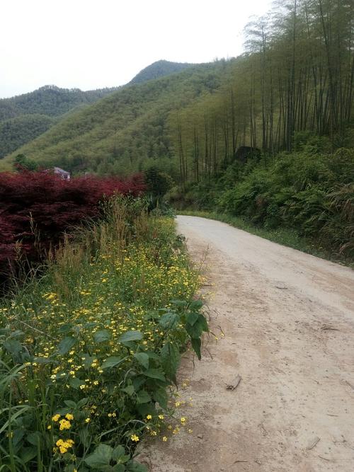 浙江省湖州市安吉县有哪几个乡?鄣吴镇至杭垓多少公里-图2 浙江省湖州市安吉县有哪几个乡?鄣吴镇至杭垓多少公里-图2