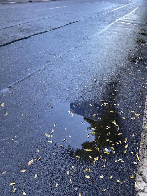 2021年5月4日盐城下雨吗?盐城一年下雨多少天-图2 2021年5月4日盐城下雨吗?盐城一年下雨多少天-图2