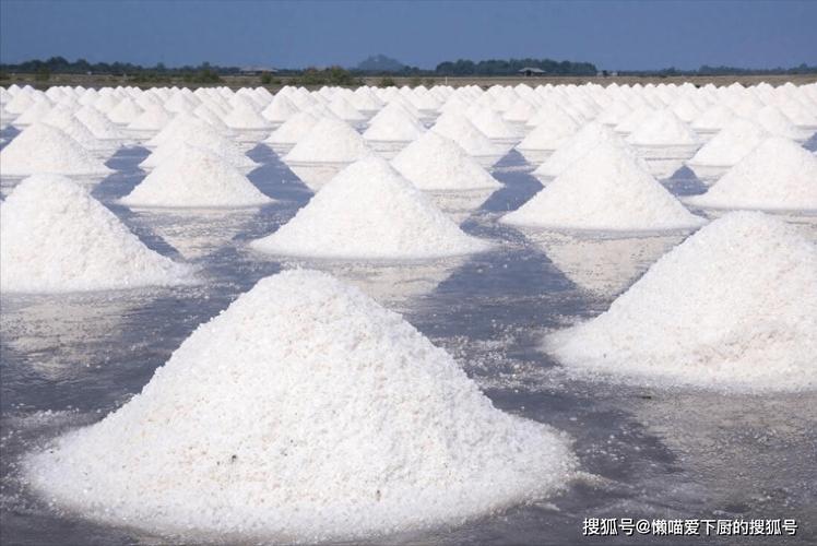 河南地区需要吃加碘盐吗?杞县民用水多少钱一吨-图2 河南地区需要吃加碘盐吗?杞县民用水多少钱一吨-图2